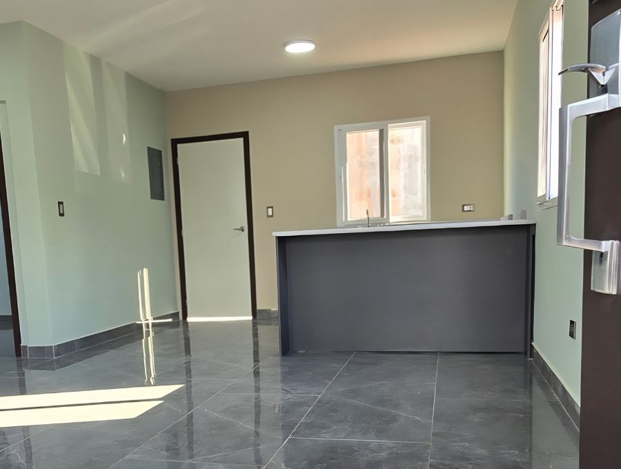 Proyecto IDD desde el exterior